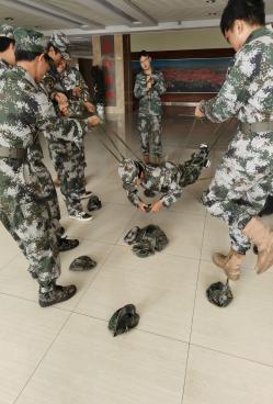 image3.jpeg